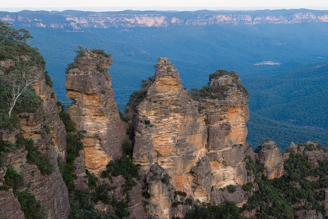 Blue Mountains Wildlife Full-Day Sights and Hiking from Sydney - Evans Lookout: picnic lunch, then the 3 km Clifftop Track hike