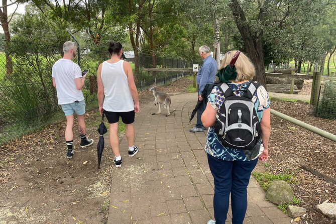 Blue Mountains Wildlife Full-Day Sights and Hiking from Sydney - Why the $238.84 price can make sense (and when it doesn’t)