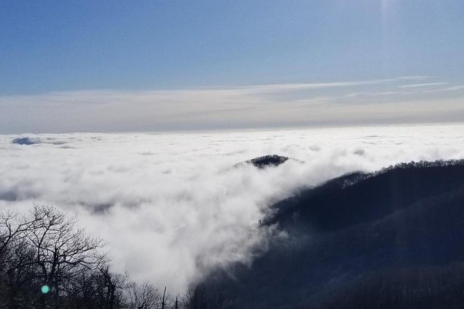 Blue Ridge Parkway Waterfalls Hiking Tour from Asheville - Stop 2 in Pisgah Forest: waterfalls plus story-driven forest time