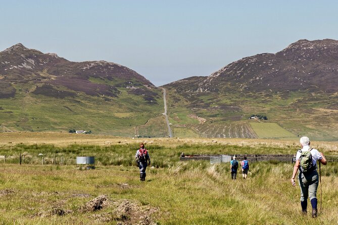Bog Safari Hike - Key things to know before you go