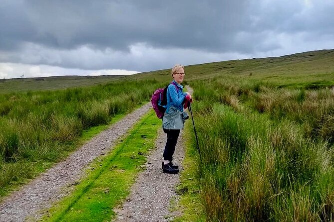 Bog Safari Hike - Why a bog safari hike feels so Irish (and why it’s worth 2 hours)