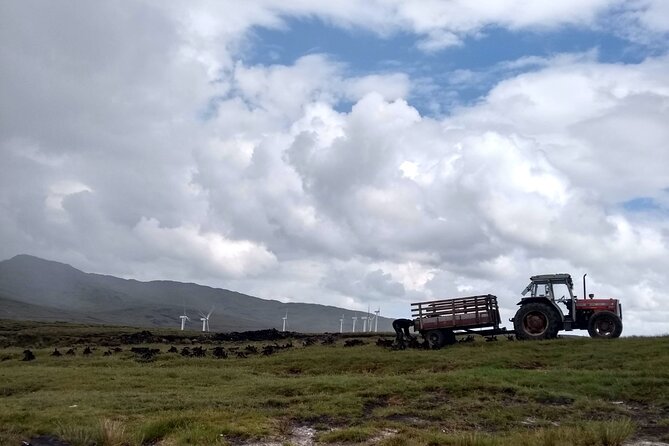 Bog Safari Hike - Duration, group size, and why the timing works for most itineraries