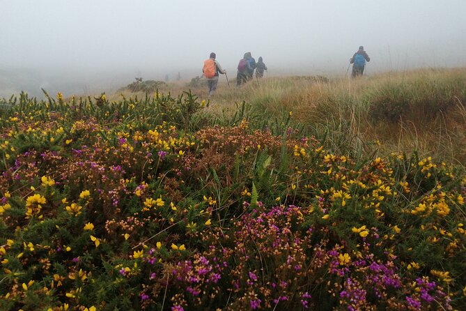 Bog Safari Hike - Practical details: where to start, what to expect, and what to plan for