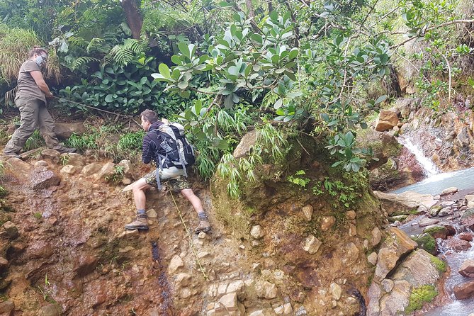Boiling Lake Hike in Dominica - Price And Value: What $128.21 Buys You In Real Life