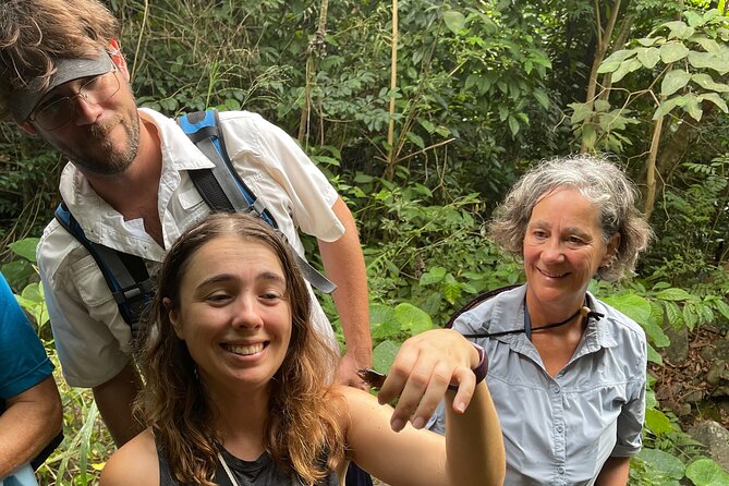 Brewers Bay Eco Hiking Tour - The 3-hour flow: what your guide does, in order