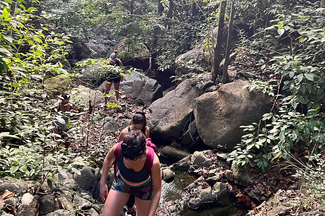 Brewers Bay Eco Hiking Tour - Shoes, weather, and the rocky spring section