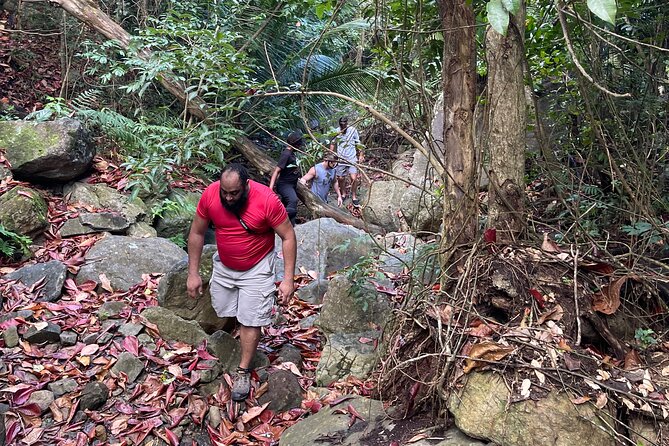 Brewers Bay Eco Hiking Tour - The guide experience: why “private” actually matters here