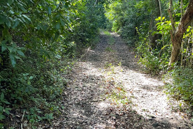 Brewers Bay Eco Hiking Tour - Who this tour is best for (and who should pass)