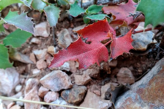 Bryce Canyon Hiking Challenge - Meet the guides: local storytelling that changes the feel of the hike
