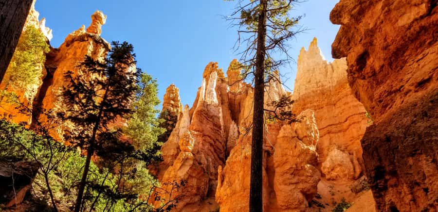 Bryce Canyon National Park Hiking Experience - Key Highlights You’ll Care About