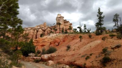 Bryce Canyon National Park Hiking Experience - Hoodoos, Pink Amphitheaters, and 50-Million-Year Rocks