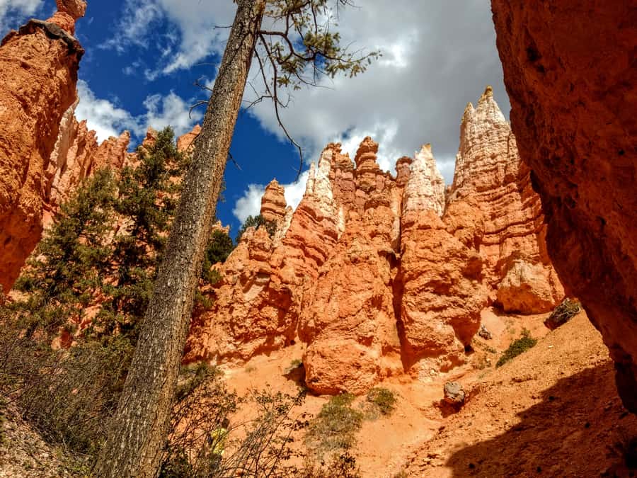 Bryce Canyon National Park Hiking Experience - Meet Your Guide and Get the Park’s Stories to Stick