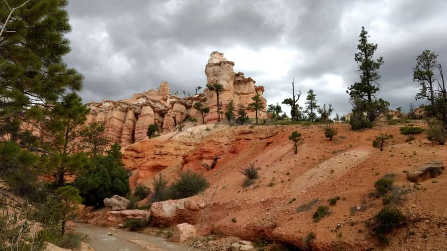 Bryce Canyon National Park Hiking Experience - Hoodoos, Pink Amphitheaters, and 50-Million-Year Rocks