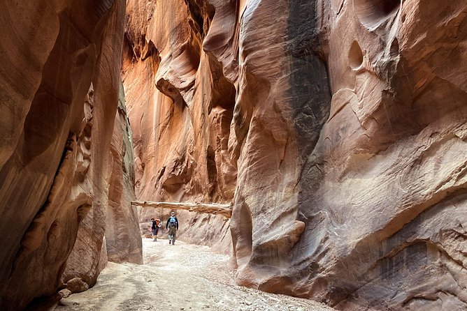 Buckskin Gulch Day Hike - Class 3 scrambling and the 100-foot challenge: the fitness check that matters