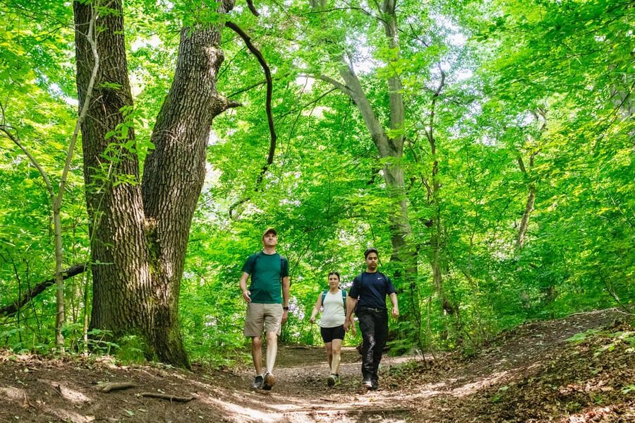 Budapest: Buda Hills Guided Hiking Tour with Optional Lunch - Normafa Slopes: First Views and a Smooth Trail Rhythm