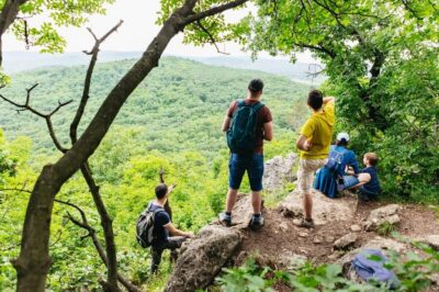 Budapest: Buda Hills Guided Hiking Tour with Optional Lunch - Getting There: Széll Kálmán tér, Public Transport, and Two Start Options
