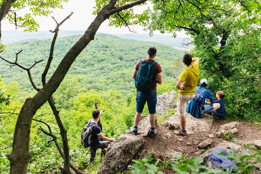 Budapest: Buda Hills Guided Hiking Tour with Optional Lunch - Getting There: Széll Kálmán tér, Public Transport, and Two Start Options