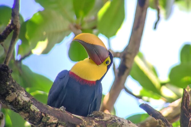 Cahuita National Park Hiking - What the 2-Hour Walk Feels Like on the Ground