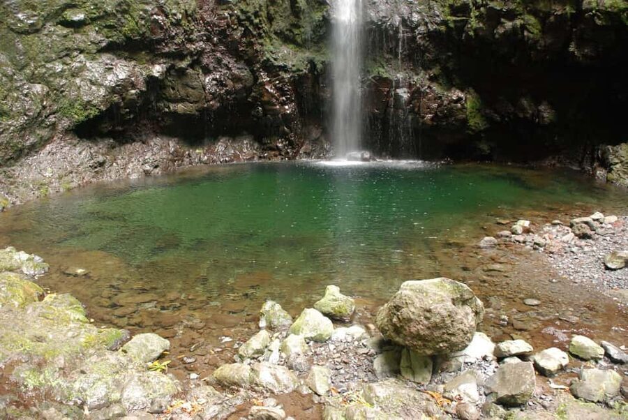 Caldeirão Verde: Levada Caldeirao Verde Hiking Transfer - Waterfalls, ancient trees, and what “Laurissilva forest” means in practice