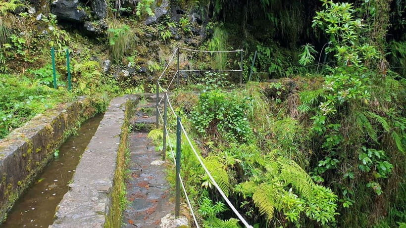 Caldeirão Verde: Levada Caldeirao Verde Hiking Transfer - Timing: start early to enjoy the trail, not manage crowds