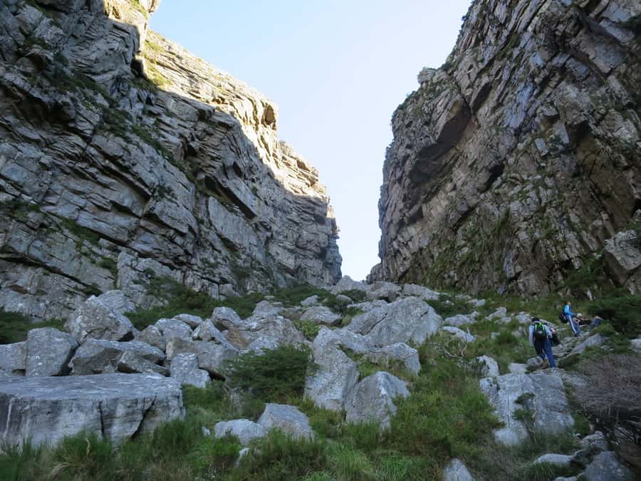 Cape Town: 3-Hour Table Mountain Hike via Platteklip Gorge - The zig-zag ascent: steep effort, guided pacing, and the views you earn