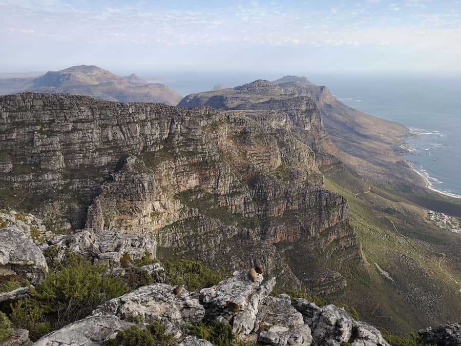 Cape Town: 3-Hour Table Mountain Hike via Platteklip Gorge - Cable car options for the descent: when it’s worth the extra cost