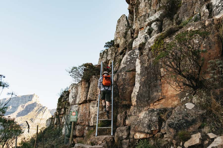 Cape Town: Lion's Head Guided Hike at Sunset - Summit Time: City Landmarks, Ocean Air, and a 360 View