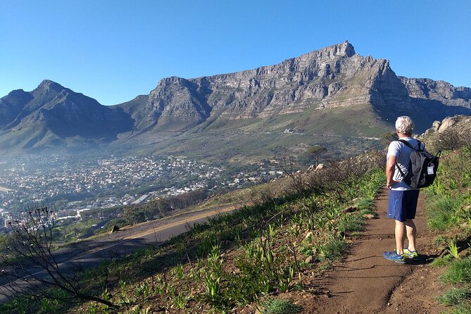 Cape Town: Lion's Head Hike - Price and Value: Is $80.52 Worth It?