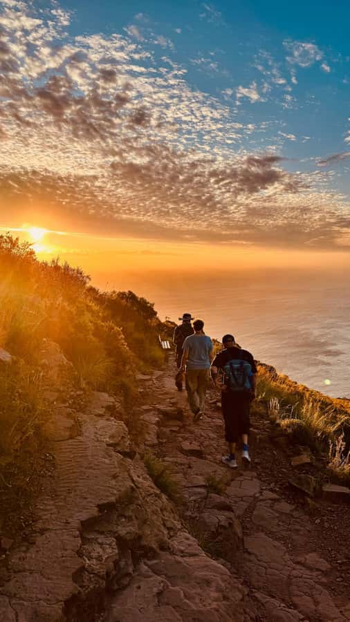 Cape Town: Lion's Head Sunrise or Sunset Guided Hike - Price and Value: What $38 Really Buys You