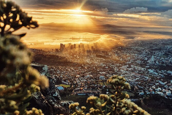Cape Town: Lion's Head Sunrise/Sunset Hike - The summit: city lights, moon energy, and that top-of-world feeling