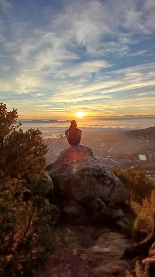Cape Town: Lion's Head Sunrise with coffee or Sunset Hike - From silver leaf groves to paragliding pads: the climb starts gentle