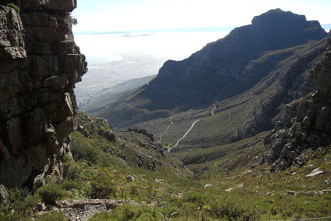 Cape Town: Platteklip Gorge Half-Day Hike on Table Mountain - Cableway down: how it affects cost and your schedule
