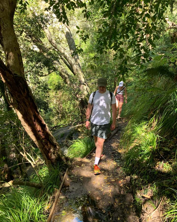 Cape Town: Skeleton Gorge and Kirstenbosch Gardens Hike - Key reasons this Skeleton Gorge + Kirstenbosch hike is worth your time