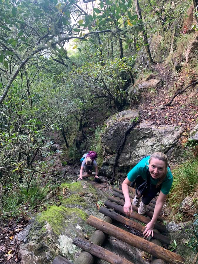 Cape Town: Skeleton Gorge and Kirstenbosch Gardens Hike - Skeleton Gorge up Table Mountain: forests, ladders, and that white-sand finish