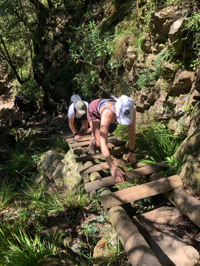 Cape Town: Skeleton Gorge and Kirstenbosch Gardens Hike - Table Mountain weather swings: sun protection and a packable layer