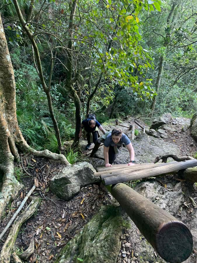 Cape Town: Skeleton Gorge and Kirstenbosch Gardens Hike - What’s included (and what you pay for yourself)