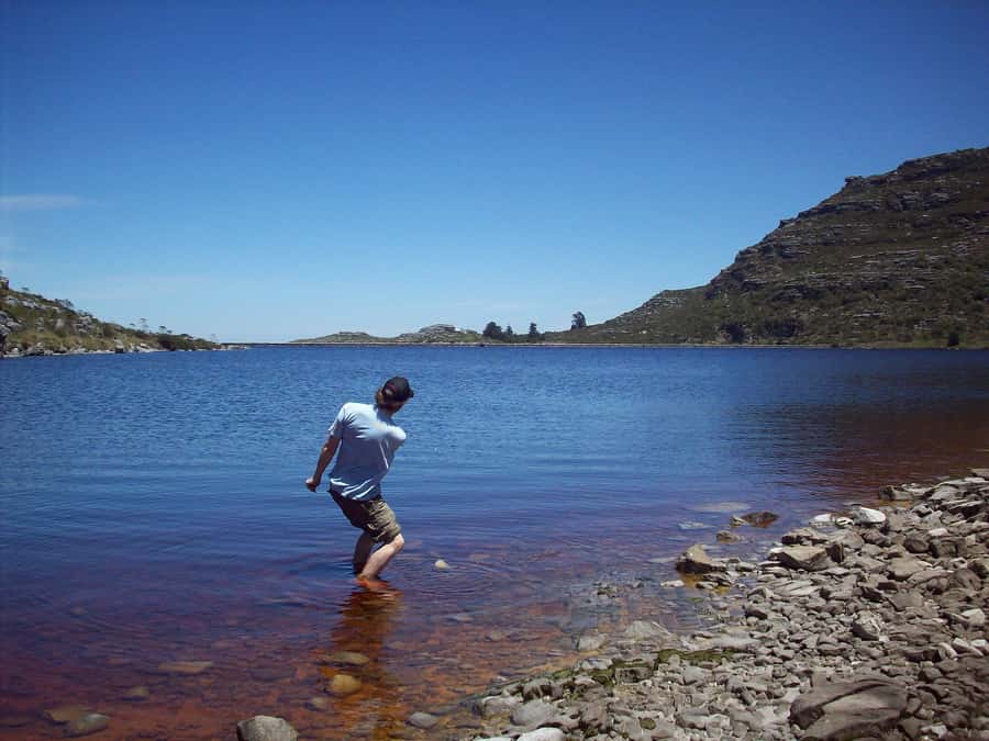 Cape Town: Skeleton Gorge and Kirstenbosch Gardens Hike - No cable car down: plan your ending point before you commit