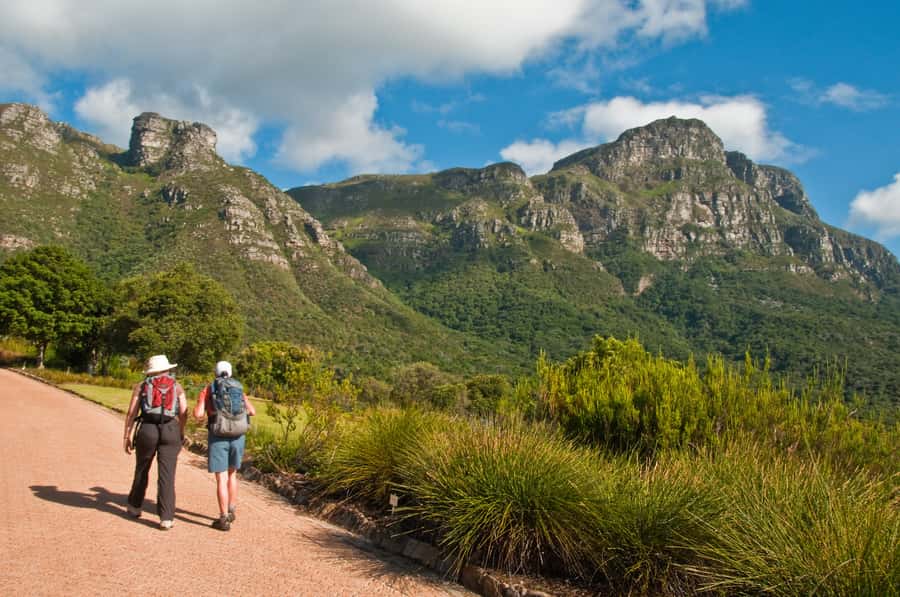 Cape Town: Skeleton Gorge and Kirstenbosch Gardens Hike - Who should book this Skeleton Gorge hike, and who should skip it