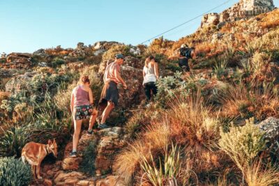 Cape Town: Table Mountain Hike via India Venster - The Climb Up: Steep Rock Steps, Hand-Scrambling, and Real Breaks