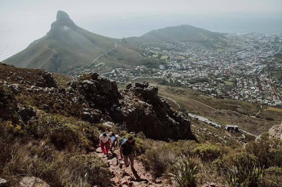 Cape Town: Table Mountain Hike with an Experienced Guide - Key things that make this hike worth your time