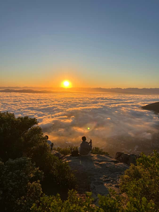 Cape Town: Table Mountain Hike with an Experienced Guide - Cable Car Descent vs Hiking Down on Foot