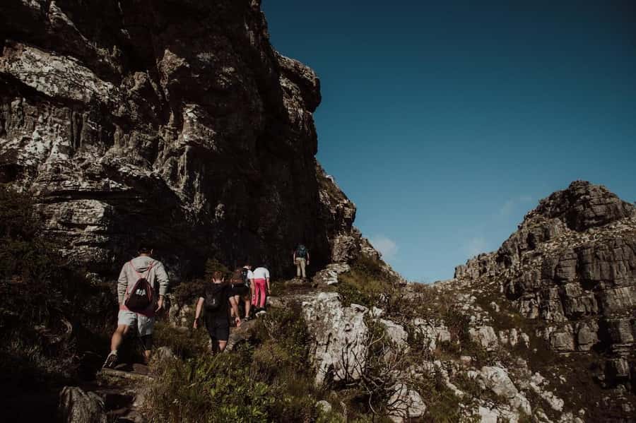 Cape Town: Table Mountain Hike with an Experienced Guide - Price and Value: Is $49 a Smart Use of Your Time?