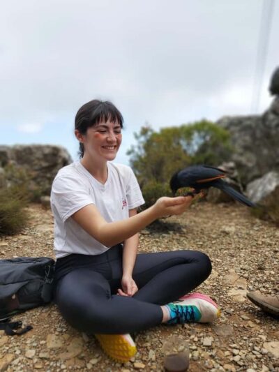 Cape Town: Table Mountain Hike with an Expert Guide - What You’re Signing Up For: A 3-Hour Summit-Oriented Hike