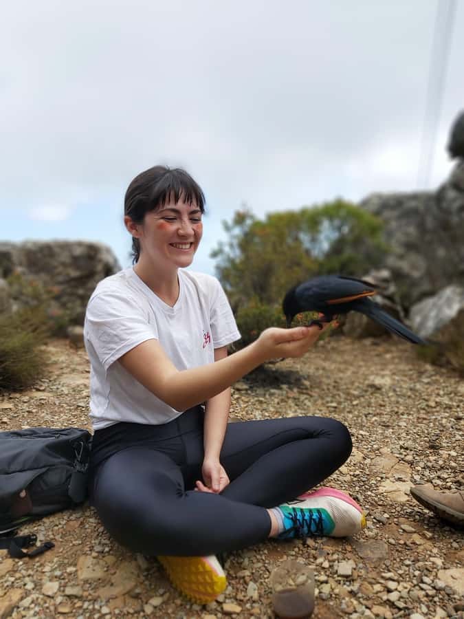 Cape Town: Table Mountain Hike with an Expert Guide - What You’re Signing Up For: A 3-Hour Summit-Oriented Hike