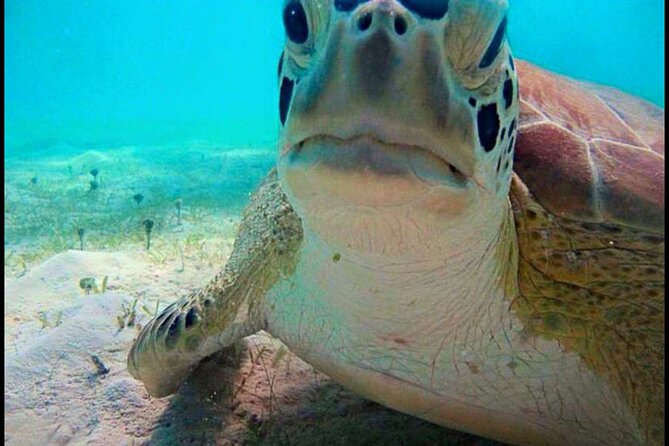 Cas Cay - Kayak Hike and Snorkel Adventure - Making It Work With Your Day: Arrival, Group Size, and Where It Starts