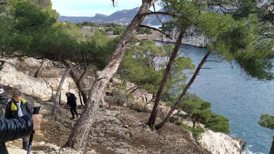 Cassis: 3 Calanques Half-Day Hiking Tour with Swimming - Port-Pin break: pebble cove, turquoise water, and a real swim choice
