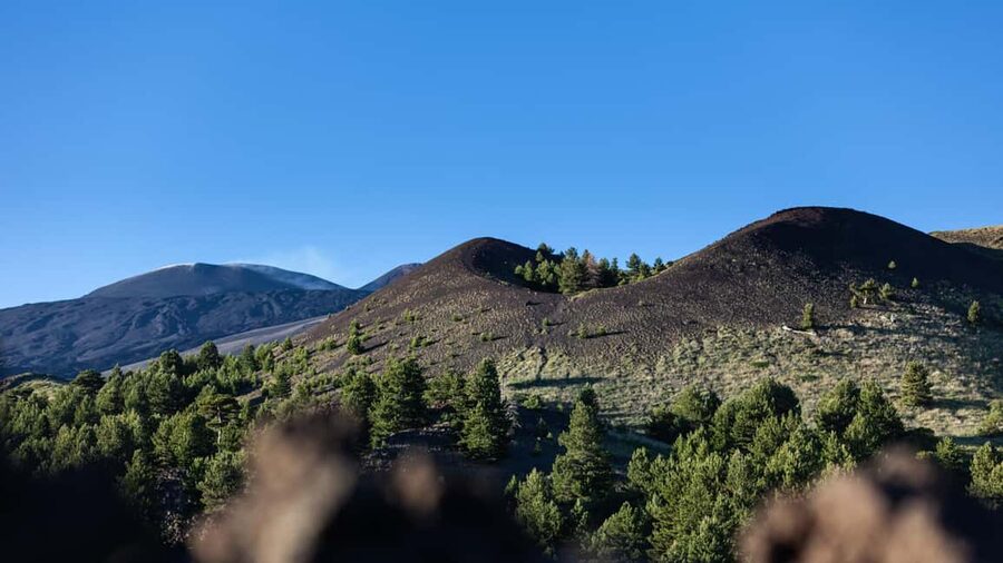 Catania: Etna Nature Tour with Hiking, Cave Visit, & Tasting - How high should you go: hike vs cable car and jeep bus
