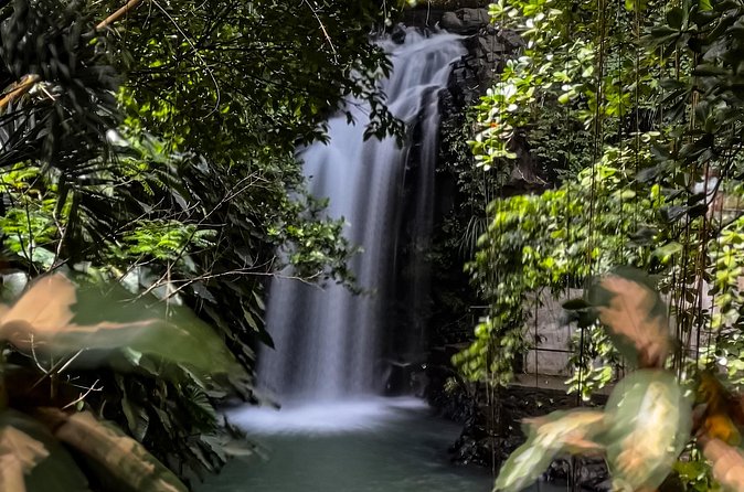 Chasing Waterfalls in Grenada Hike and Adventure Tours - How Waterfalls + Hiking Feels Like the Real Grenada