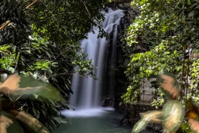 Chasing Waterfalls in Grenada Hike and Adventure Tours - Pickup, Group Size, and Guides Who Set the Tone