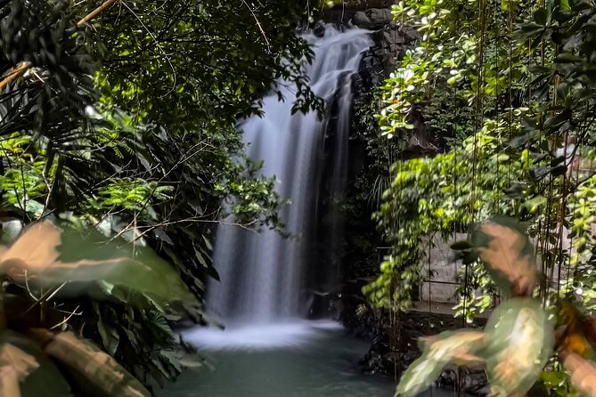 Chasing Waterfalls in Grenada Hike and Adventure Tours - Pickup, Group Size, and Guides Who Set the Tone